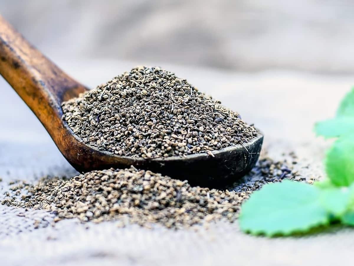 Carom Seeds (Ajwain): Health Benefits, Uses, Side Effects And More